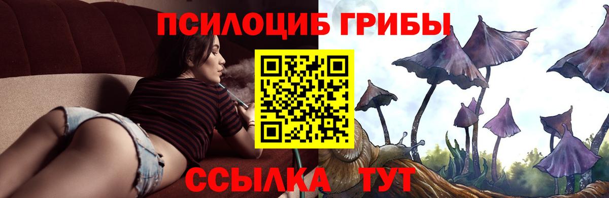 Галлюциногенные грибы мухоморы  даркнет сайт  Курчатов  Вход с VPN  Псилоцибиновые грибы мицелий 